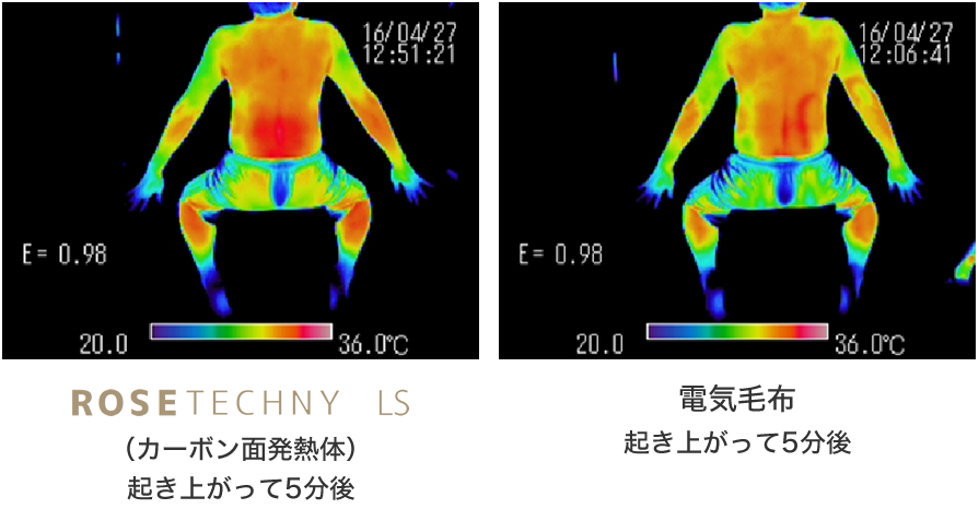 カーボン面発熱体の違い