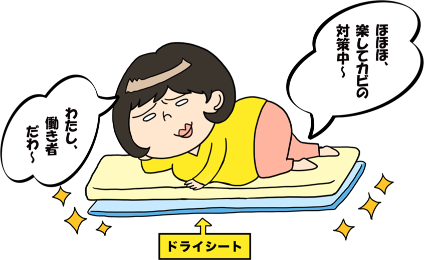 ドライシートを利用中のずぼら子さん「ほほほ、楽してカビの対策中～　わたし働き者だわ～」