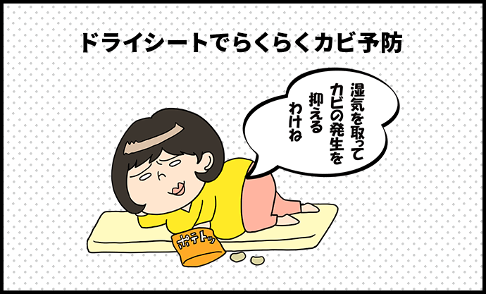 ドライシートでらくらくカビ予防　ずぼら子さん「湿気を取ってカビの発生を抑えるわけね」
