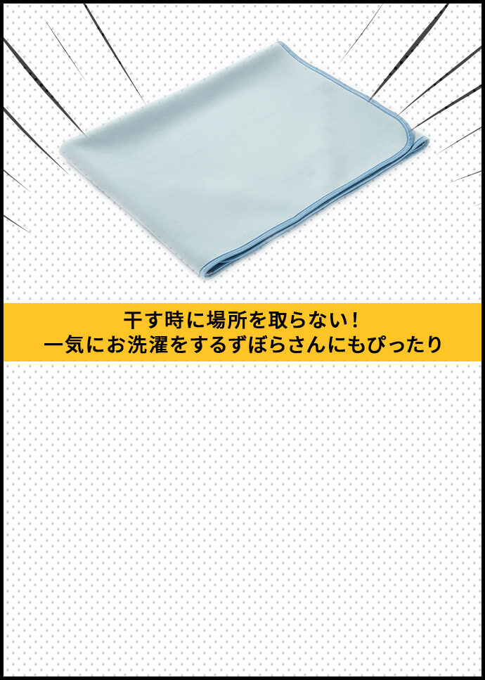 サラフロー 速乾「干すらく(R)」敷きパッド