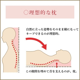 自然に立った姿勢をそのまま横になってキープできるのが理想的。この隙間を埋めて埋めて首を支える支えるのが、枕。
