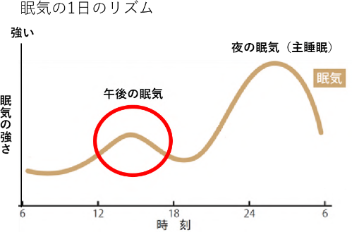 眠気の1日のリズム