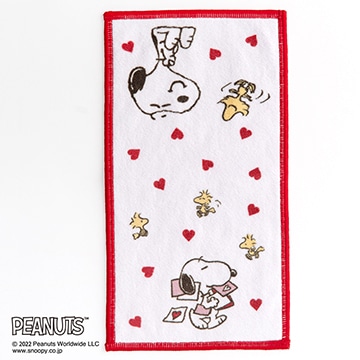 【母の日キャンペーン対象商品】【SNOOPY　スプリングキャンペーン】眼鏡クリーナータオルPN2636TW