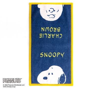 【母の日キャンペーン対象商品】【SNOOPY　スプリングキャンペーン】眼鏡クリーナータオルPN2639TW