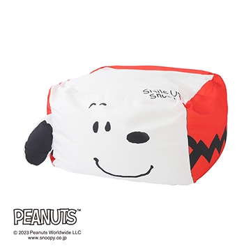 【母の日キャンペーン対象商品】【SNOOPY　スプリングキャンペーン】ピーナッツ スヌーピービーズクッション