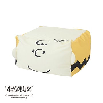 【母の日キャンペーン対象商品】【SNOOPY　スプリングキャンペーン】ピーナッツ チャーリー・ブラウンビーズクッション