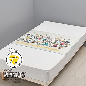 ピーナッツ あったかリバーシブルひざ掛け<75周年記念アート>【クリスマスキャンペーン】【SNOOPYウィンターキャンペーン】