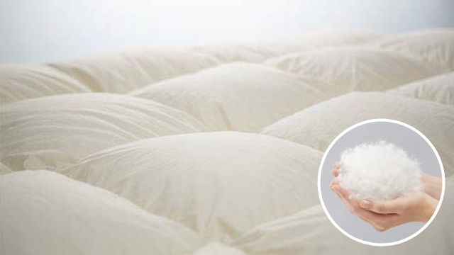 羽毛掛け布団