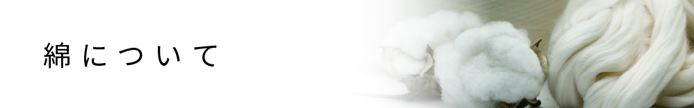 綿について