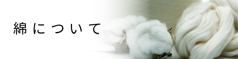 綿について
