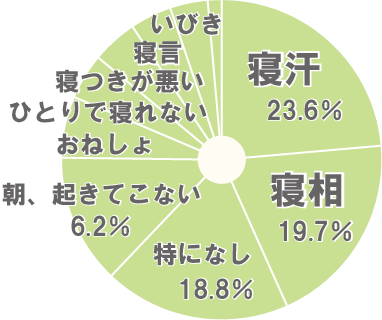 寝汗23.6%、寝相17.7%、特になし18.8%、朝起きてこない6.2%、その他(ひとりで寝れない、おねしょ、寝つきが悪い、寝言、いびき)
