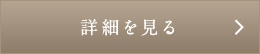 詳細を見る