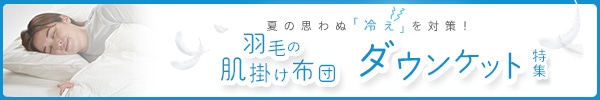 羽毛の肌掛け布団 ダウンケット特集