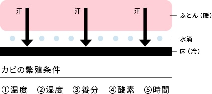 カビの繁殖条件:1、温度 2、湿度 3、養分 4、酸素 5、時間