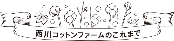 nishikawa（西川）コットンファームのこれまで