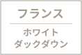 フランス