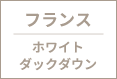 フランス