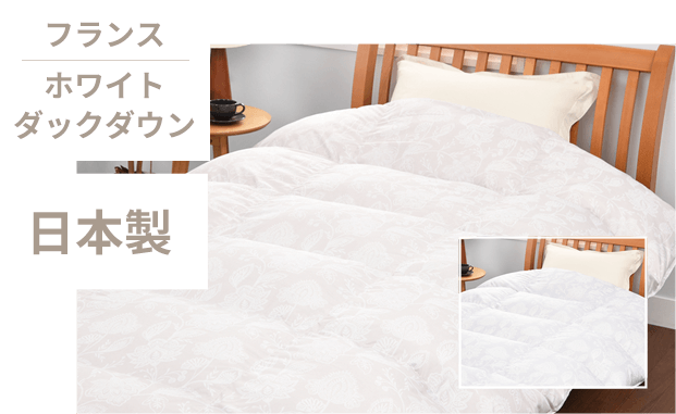 画像１
