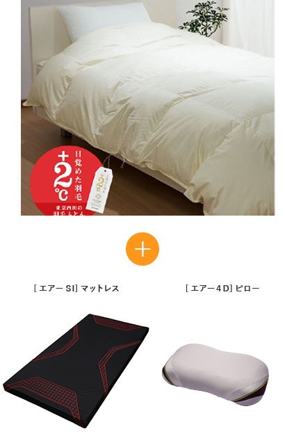 目覚めた羽毛　+2℃　羽毛ふとん　＋　[エアーSI]マットレス　＋　[エアー4D]ピロー