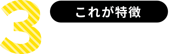 3つのポイント これが特徴
