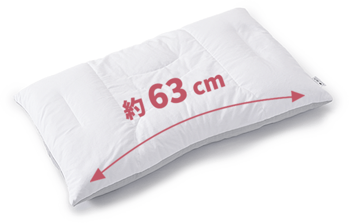約63cm