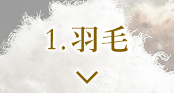 1.羽毛