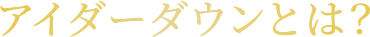 アイダーダウンとは？