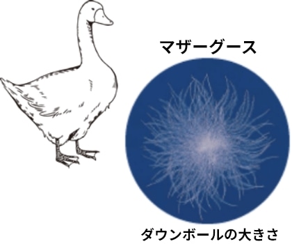 ダック