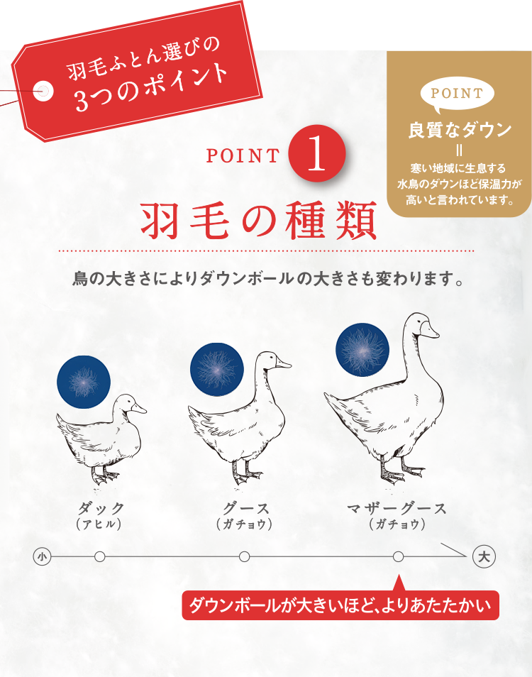 nishikawa（西川）のこだわり羽毛かけ布団 nishikawa（西川）ダウンについてお伝えしたいことがたくさんあります。