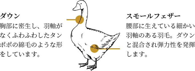 nishikawa(西川)のこだわり羽毛かけ布団 nishikawa(西川)ダウンについてお伝えしたいことがたくさんあります。