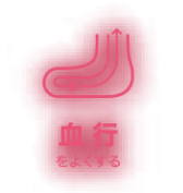 神経痛・筋肉痛の痛みをやわらげる