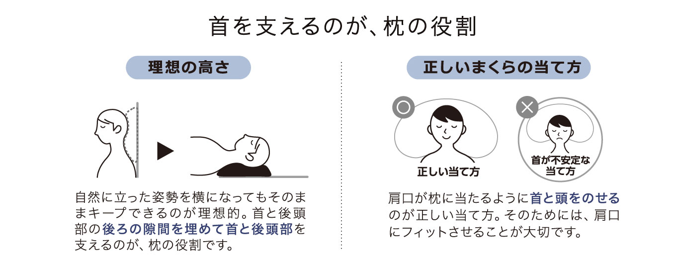 構造図